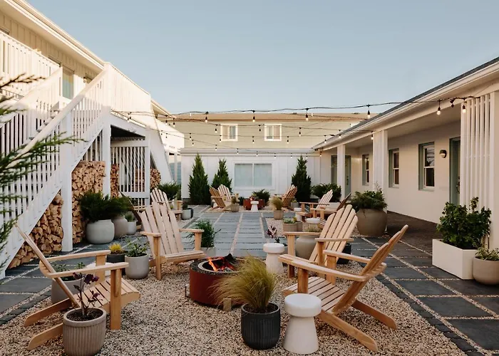 Daunts Albatross Motel
